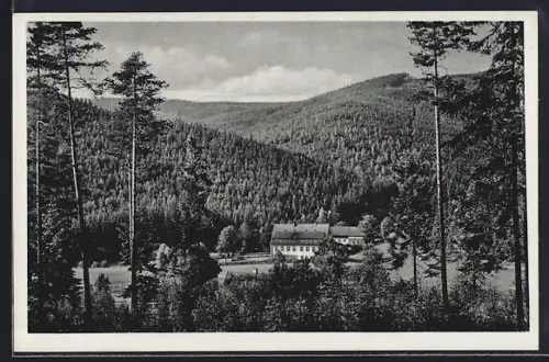 AK Erlbach i. Vogtl., Kinderheim Tannenmühle, Hoher Stein