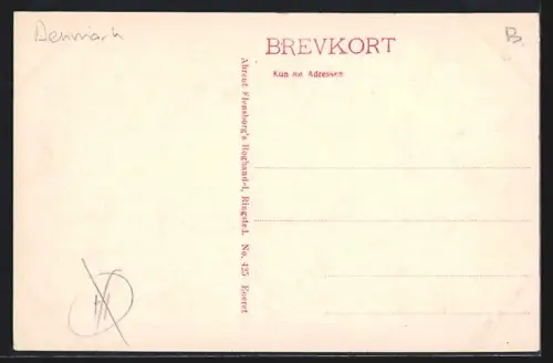 AK Ringsted, Panorama