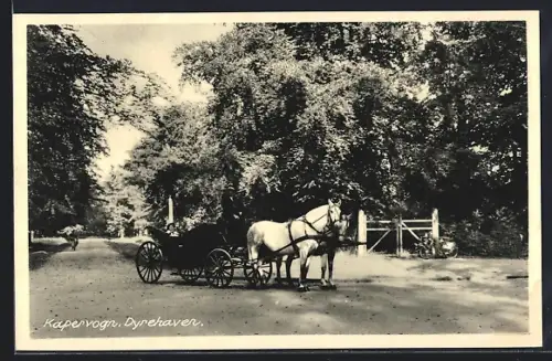 AK Kapervogn, Dyrehaven