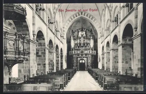 AK Ribe, Domkirke set mod Orgelet, Orgel