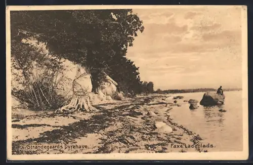 AK Faxe Ladeplads, Strandegaards Dyrehave