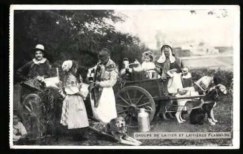 AK Groupe de Latieres Flamandes, Hundegespann