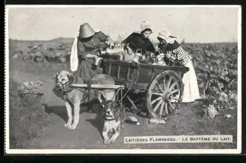 AK Laitieres Flamandes, le Bapteme du Lait, Milchverkäuferinnen mit Hundegespann