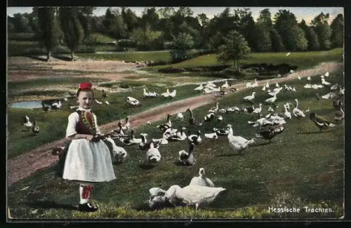 AK Hessisches Mädchen in einer Tracht mit Gänsen auf einer Wiese