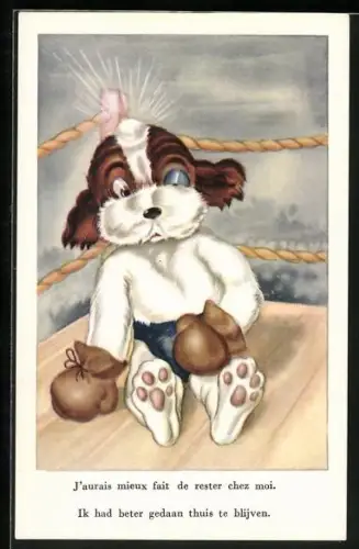 AK Hund mit Boxhandschuhe im Ring, Boxen
