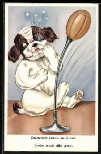 AK vermenschlichte Tiere, Hund vor Punchingball, Exactement comme ma femme