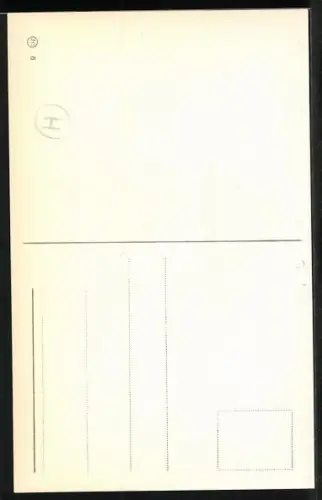 AK Histoire du femme qui finit en queue de Pisson!, Angler ist Meerjungfrau in`s Netz gegangen, Humor