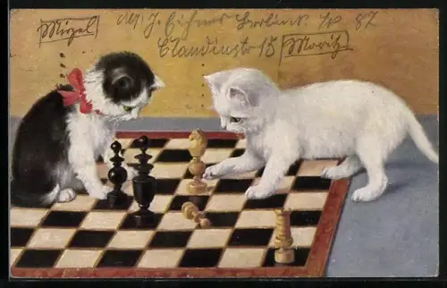 AK Katzen spielen Schach