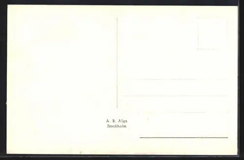 AK Bengtsfors, Parti av Bengtsfors