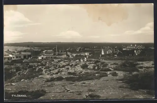 AK Tylösand, Panorama