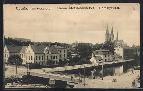 AK Upsala, Anatomicum, Universitetesbiblioteket, Domkyrkan