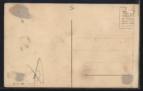 AK Upsala, Anatomicum, Universitetesbiblioteket, Domkyrkan