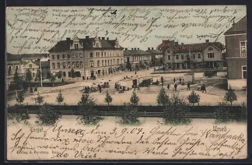 AK Umea, Torget