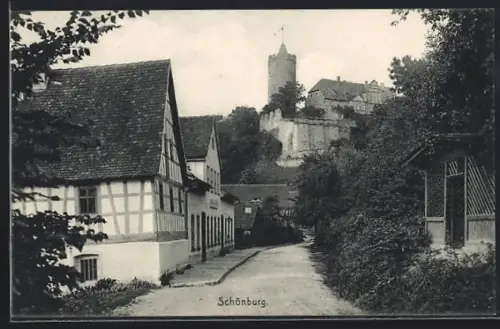 AK Schönburg / Saale, Ortsansicht mit Burg