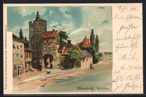 Lithographie Naumburg / Saale, Marientor