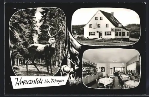 AK Kreuznick, Hotel Restaurant Waldblick, Bes. Friedr. Holzhauer