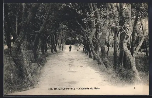 AK Batz /Loire-Inf., L`Entrée du Bois