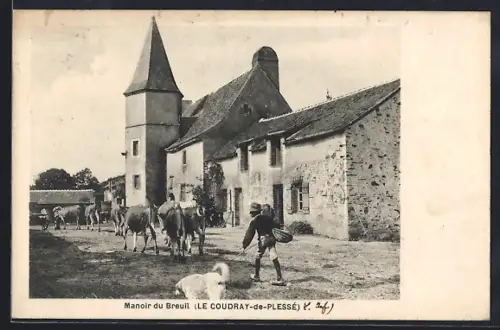 AK Le Coudray-de-Plessé, Manoir du Breuil et troupeau de vaches en chemin