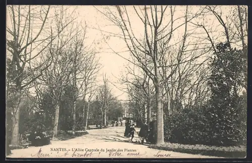 AK Nantes, L`Allée Centrale du Jardin des Plantes