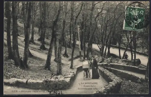 AK La Montagne /Loire-Inf., La route sous bois