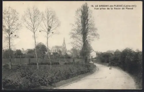 AK Le Dresny-en-Plessé /Loire-Inf., Vue prise de la Route de Plessé