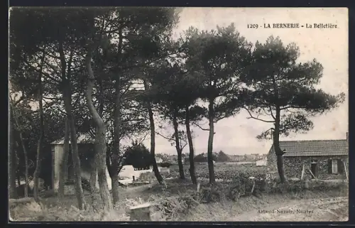 AK La Bernerie, La Belletière avec vue sur les pins et maisons rurales