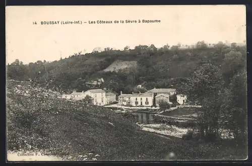 AK Boussay /Loire-Inf., Les Coteaux de la Sèvre à Bapaume
