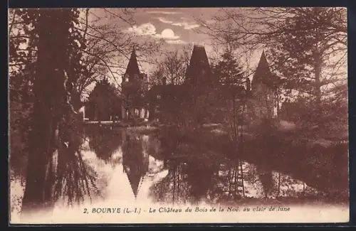 AK Bouaye /L.-I., Le Château du Bois de la Noë au clair de lune