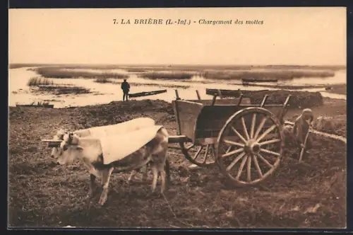 AK La Brière /L.-Inf., Chargement des mottes