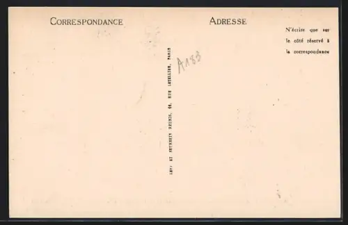 AK Bourg-Saint-Maurice, Vue générale et le Grenat