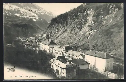 AK Salins, Vue générale