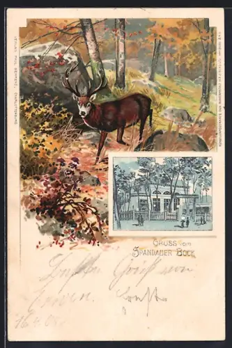 Lithographie Berlin-Spandau, Gasthaus Spandauer Bock, Passepartout mit Reh im Wald
