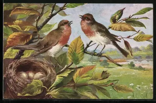 Künstler-AK Alfred Schönian: Vögel an ihrem Nest