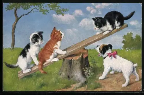 AK Katzen auf einer Wippe