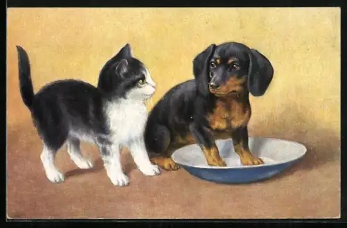 Künstler-AK Dackel an der Milchschale einer entrüsteten kleinen Katze