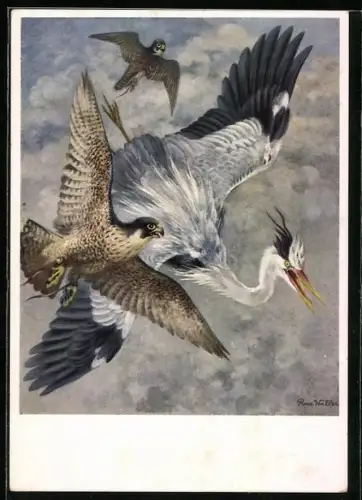 Künstler-AK Reiherbeize, Reiher und Raubvögel im Flug