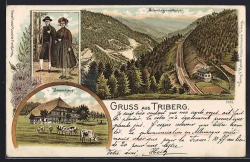 Lithographie Triberg, Bauernhaus, Schwarzwaldbahn und Paar in Trachtenkleidung