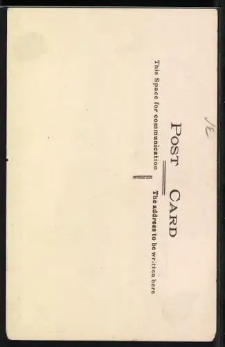 AK The Prince of Wales in uniform