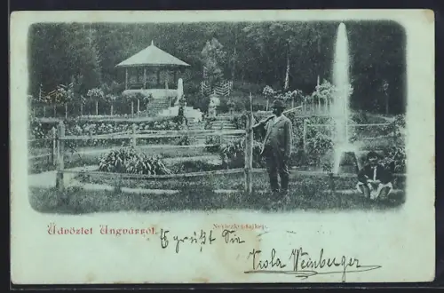 AK Ungvár, Neviezkei-tajkép