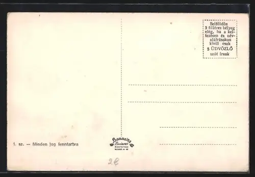 AK Kiralymezö, Patakreszlet