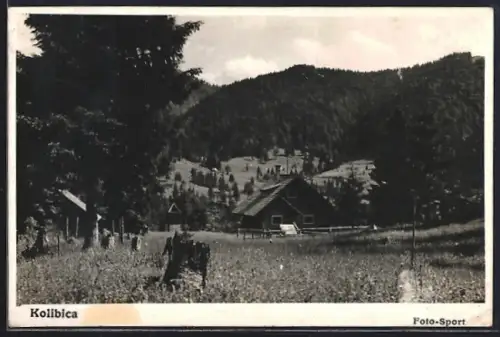 AK Kolibica, Panorama mit Bäumen