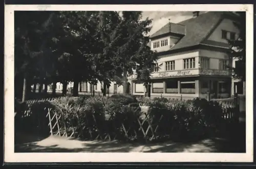 AK Neumarkt /Steiermark, Ceipekpark mit Café Meyer