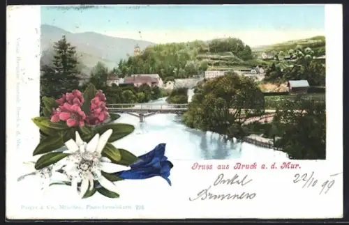AK Bruck a. d. Mur, Flusspartie mit Brücke und Panorama