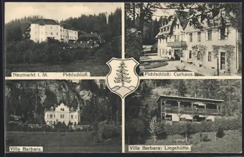 AK Neumarkt i. St., Pichlschloss, Kurhaus, Villa Barbara und Liegehütte