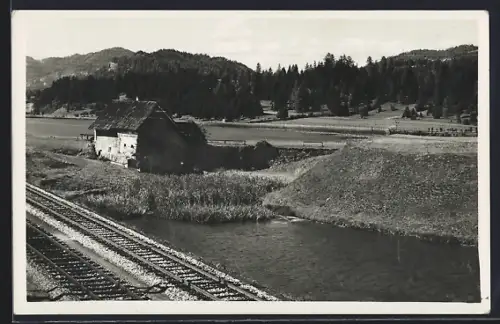 AK Neumarkt /Steiermark, Partie am Fortnerteich