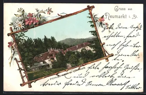 Passepartout-AK Neumarkt / Stmk., Pichlschloss M. Curhaus, Edelweiss und Blumen