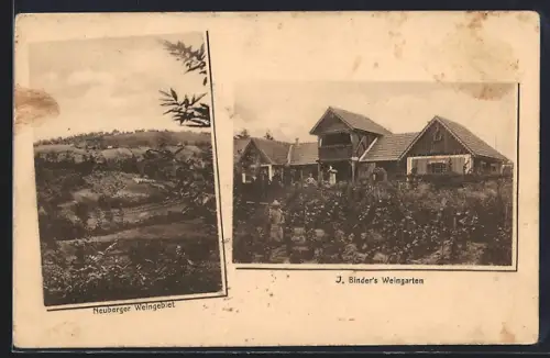 AK Neuberg, J. Binders Weingarten mit Gebäude, Neuberger Weingebiet aus der Vogelschau