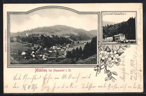 AK Mühlen bei Neumarkt, G. Schmalzls Holzstoffabrik, Gesamtansicht aus der Vogelschau, Rahmen, Blumen