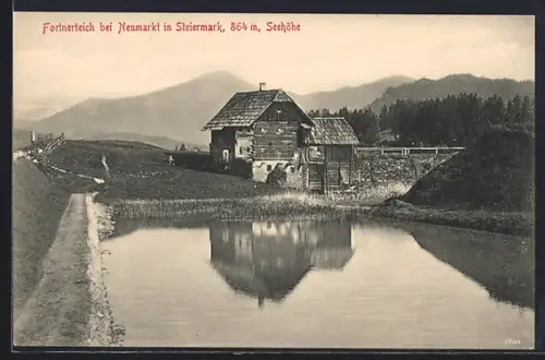AK Neumarkt, Fortnerteich mit Holzgebäude u. Bergpanorama