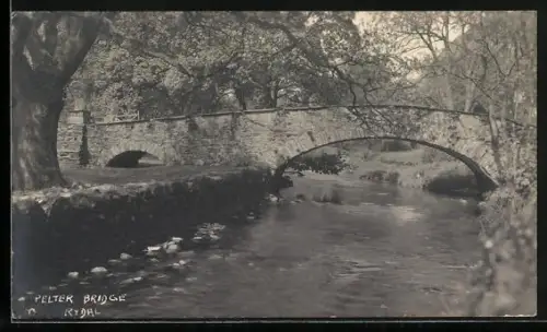 AK Pelter Bridge, View of the bridge